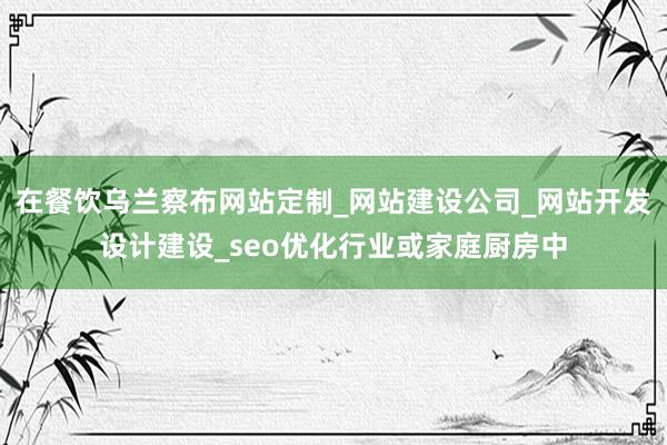 在餐饮乌兰察布网站定制_网站建设公司_网站开发设计建设_seo优化行业或家庭厨房中