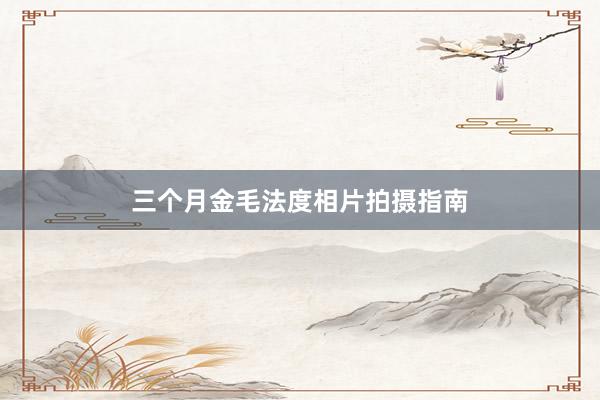 三个月金毛法度相片拍摄指南